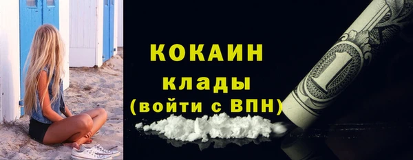 индика Горно-Алтайск