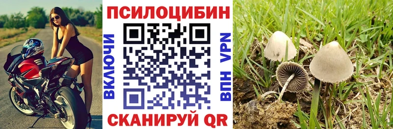 где найти наркотики  Колпашево  Галлюциногенные грибы Cubensis 